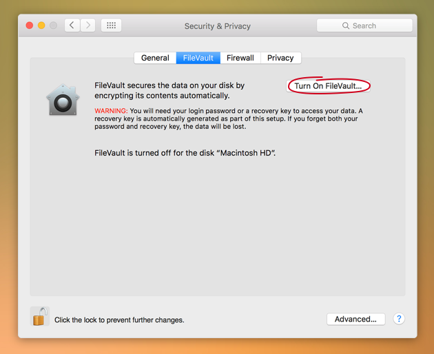 Encrypt data with FileVault