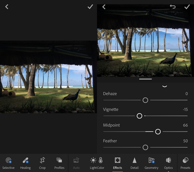 Screenshots of Adobe Lightroom CC, a pro-level photo editor for iPhone