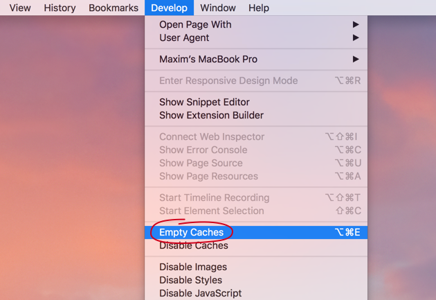 How to empty cache in Safari browser manually